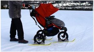 polar stroller skis review